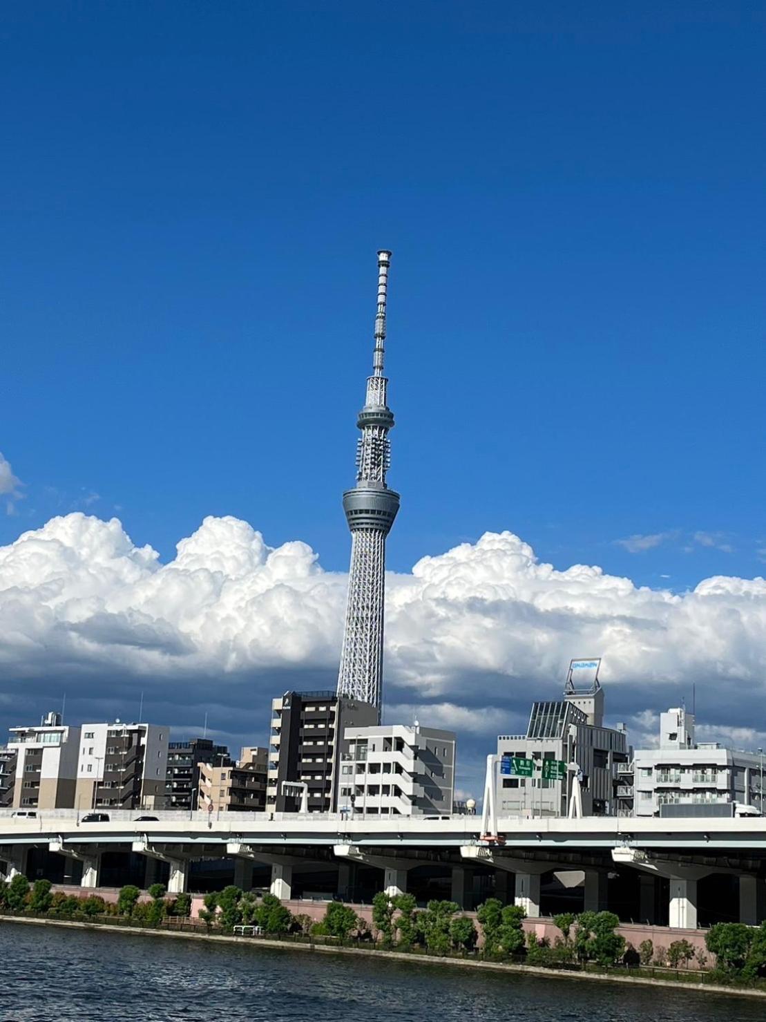Appartement 浅草駅から徒歩4分 Wi-fi無料 成田羽田直行 *